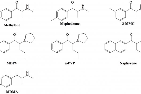 Kraken 17 atkraken 17 at