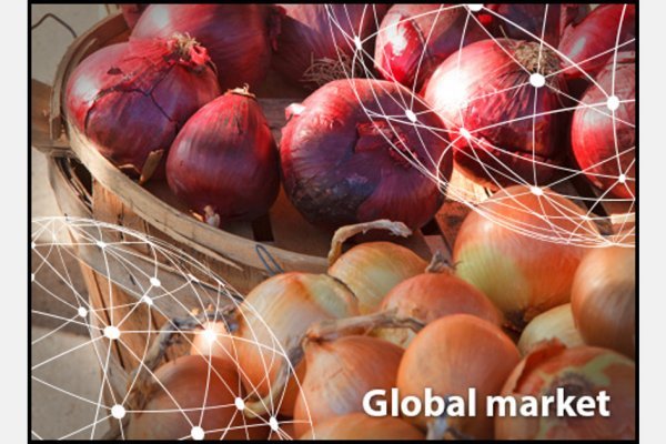 Рабочая ссылка блэк скрут