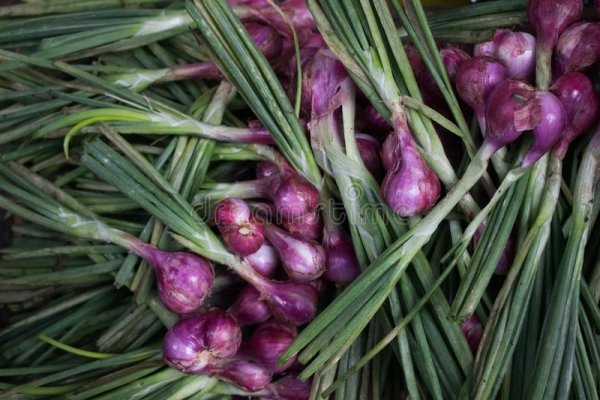 Блекспрут вход