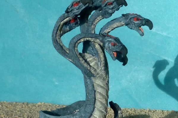 Форум zane russia