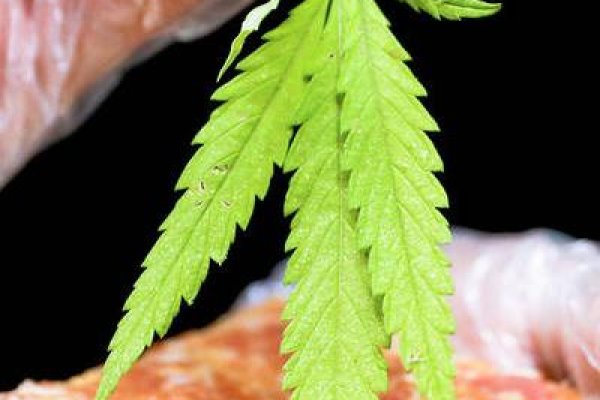 Кракен рабочие ссылки кракен рабочие ссылки tvsmena.ru