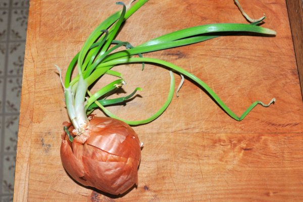 Рабочие ссылки мега