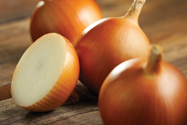 Kraken зеркало рабочее ppg mod ru