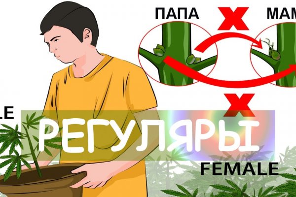 Даркнет площадка кракен