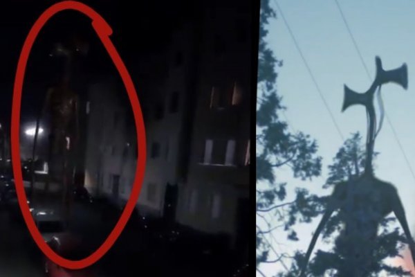 Как вывести деньги с блэкспрута