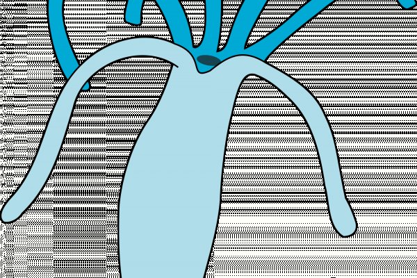 Рабочая ссылка кракен