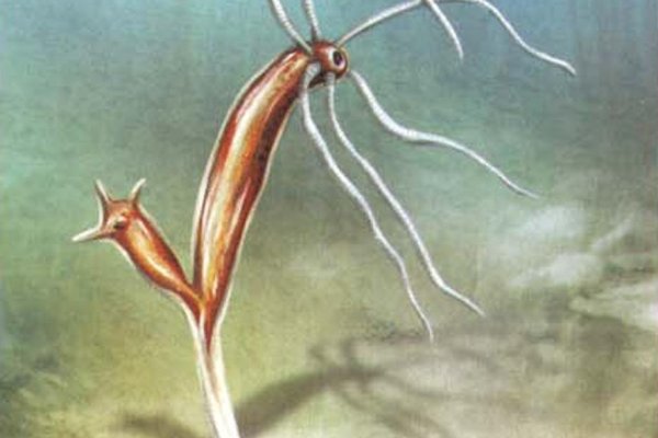 Kraken зеркало рабочее 2026