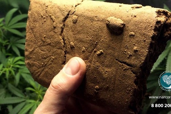 Kraken zerkalo ppg mod ru yandx-browser.ru