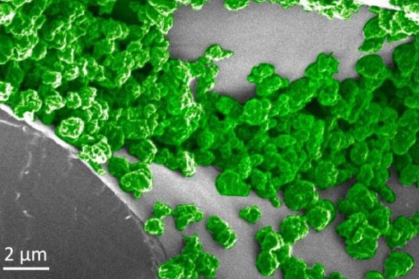 Официальная ссылка на платформу кракен