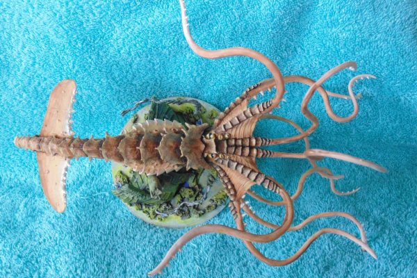 Ссылка на мегу кракен