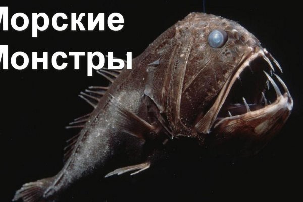 Ссылка на блэк спрут