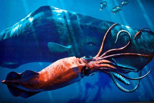 Актуальные зеркала blacksprut