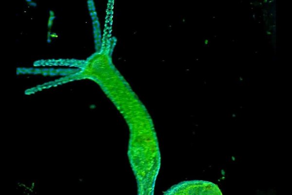 Кракен вход kr2web