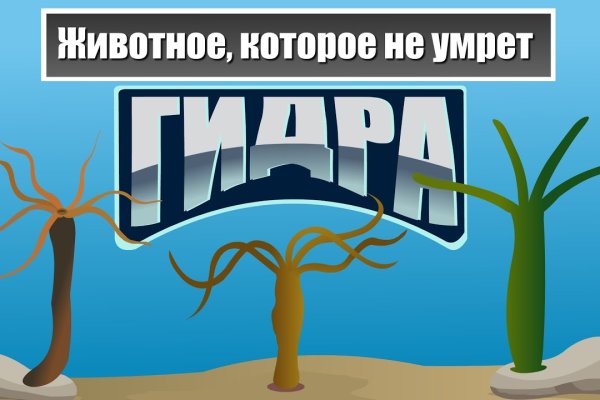 Kraken зеркало рабочее ppg mod ru