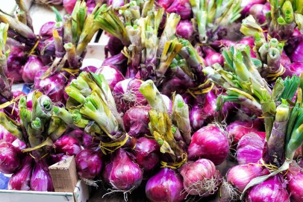 Верная ссылка на кракен