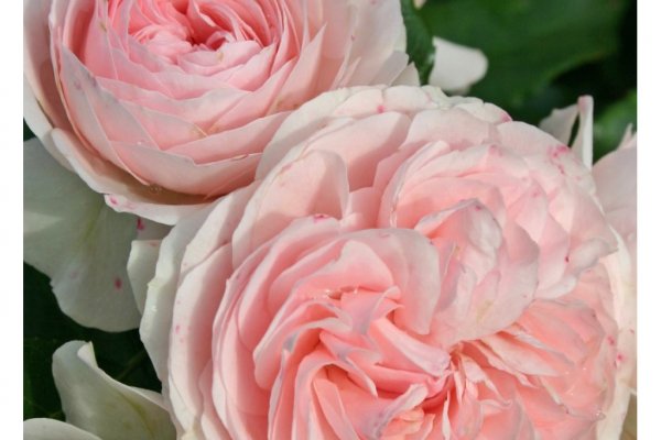 Как зайти на площадку кракен