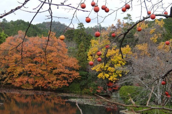 Kraken зеркало ссылка kra29 cc