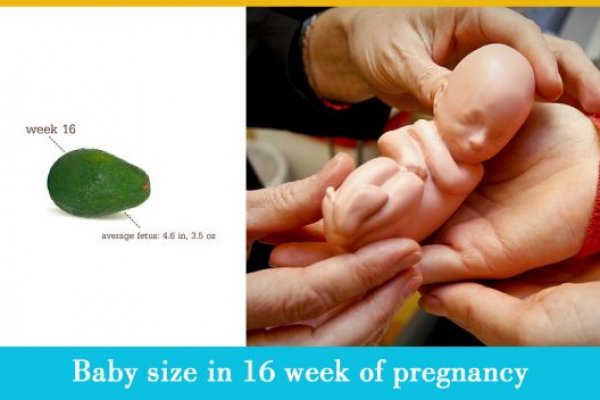 Сыски на блэкспрут